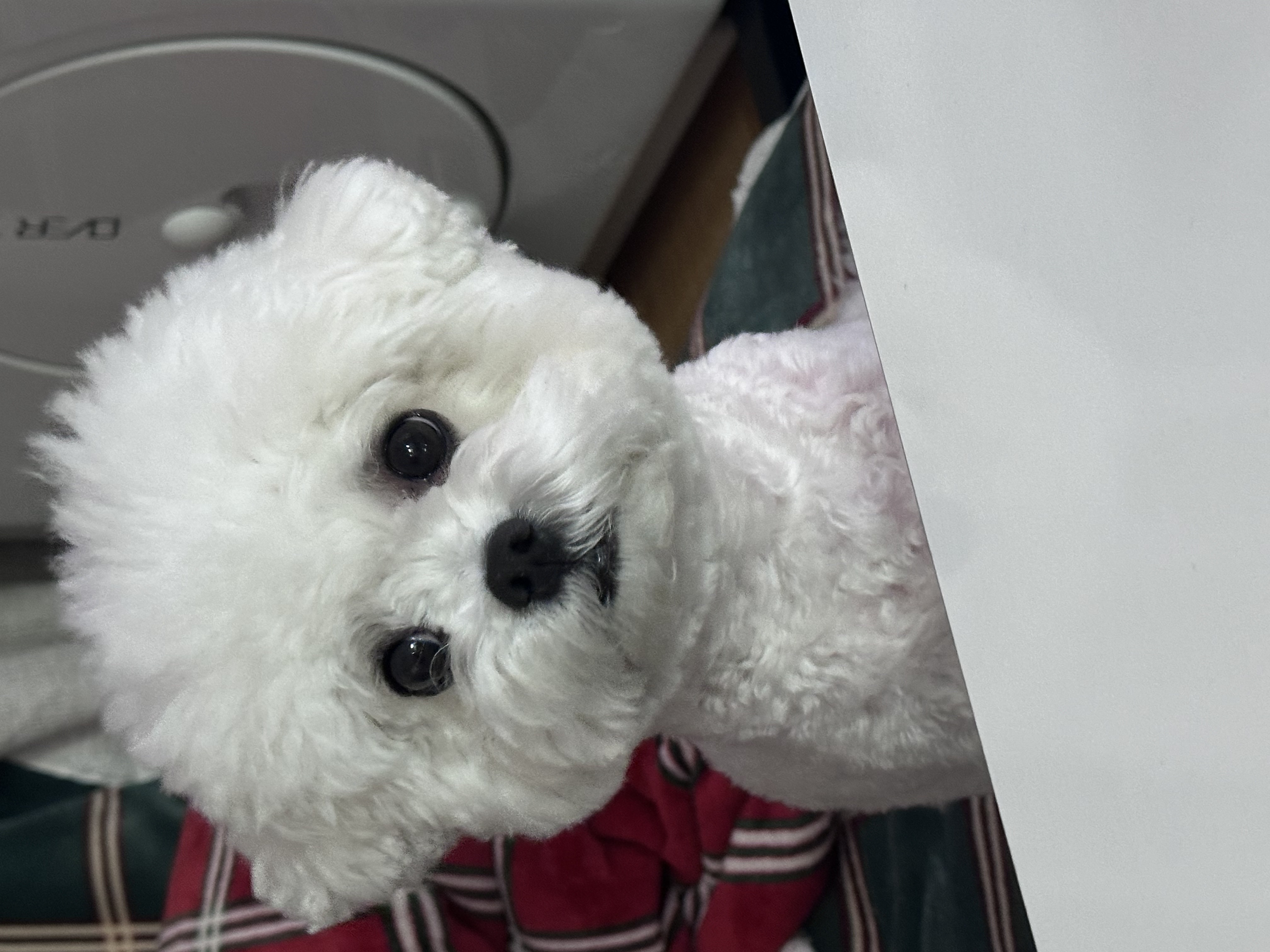 얼마에요? 이미지 2