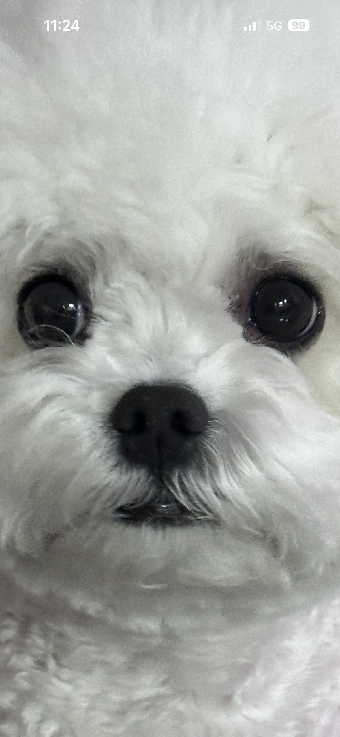 얼마에요? 이미지 3